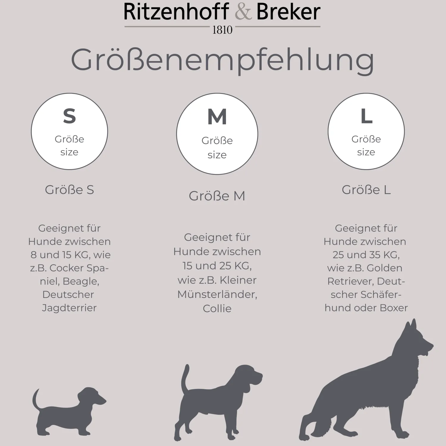 Clearance Napfset Taro | 2-teilig | 880 ml | grau Hund