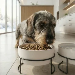 Hot Napfset Taro | 3-teilig | 880 ml | grau Hund