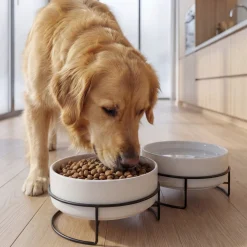Hot Napfset Taro | 3-teilig | 880 ml | grau Hund