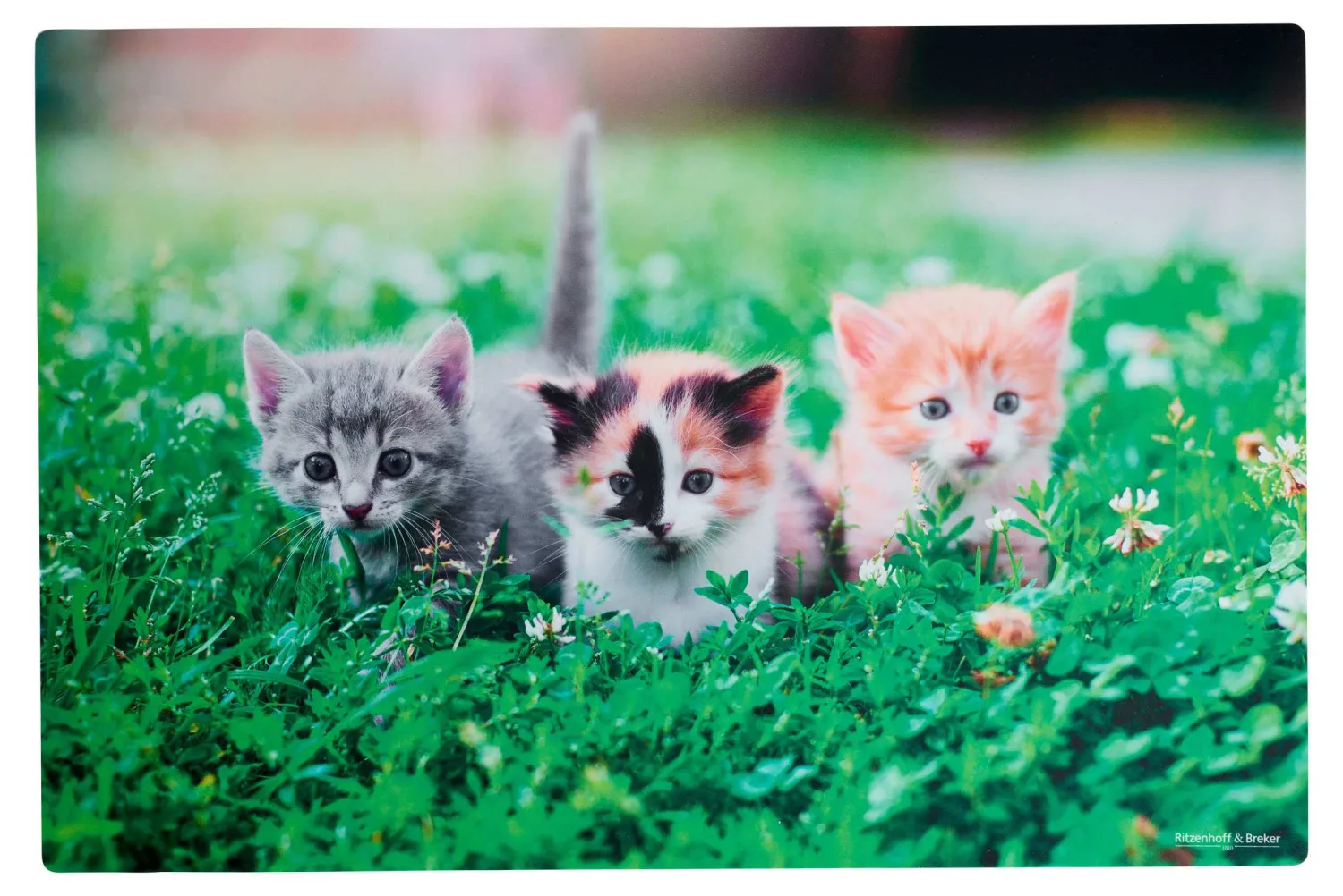 Sale Platzmatte Flip Katze | 45 x 30 cm Platzmatte