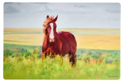 Online Platzmatte Flip Pferd | 45 x 30 cm Platzmatte
