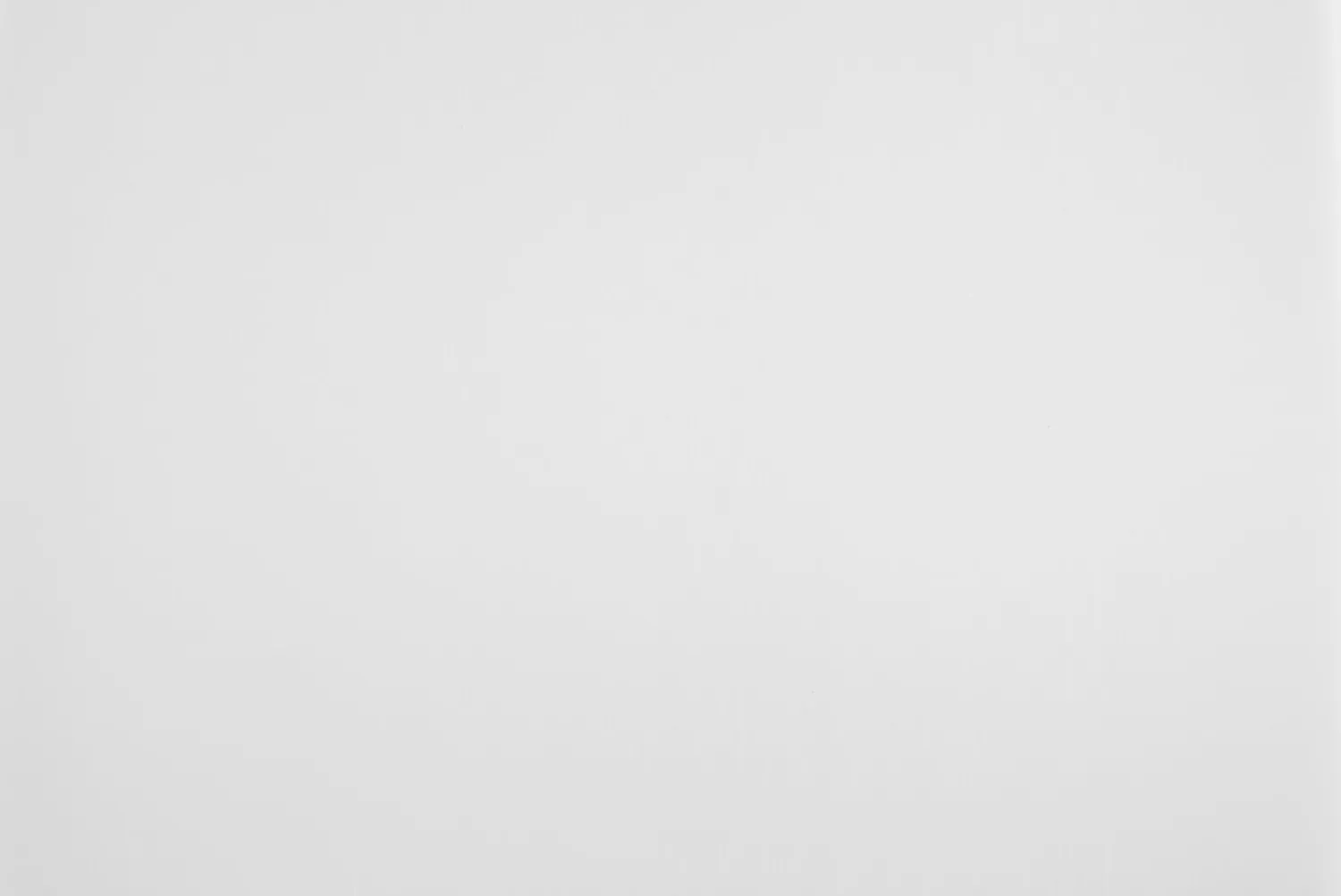 Best Platzmatte Transparent | 45 x 30 cm | klar Platzmatte