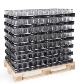 Hot Trinkglas Favo | 350 ml | klar Glas