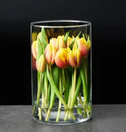 Best Vase Amalia | 14 x 14 x 21,5 cm Vase